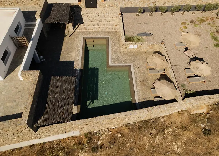 Apartment Panda Art Ano Mera